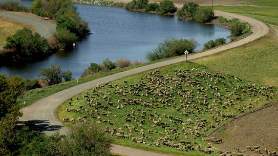 Sacramento-San Joaquin Delta